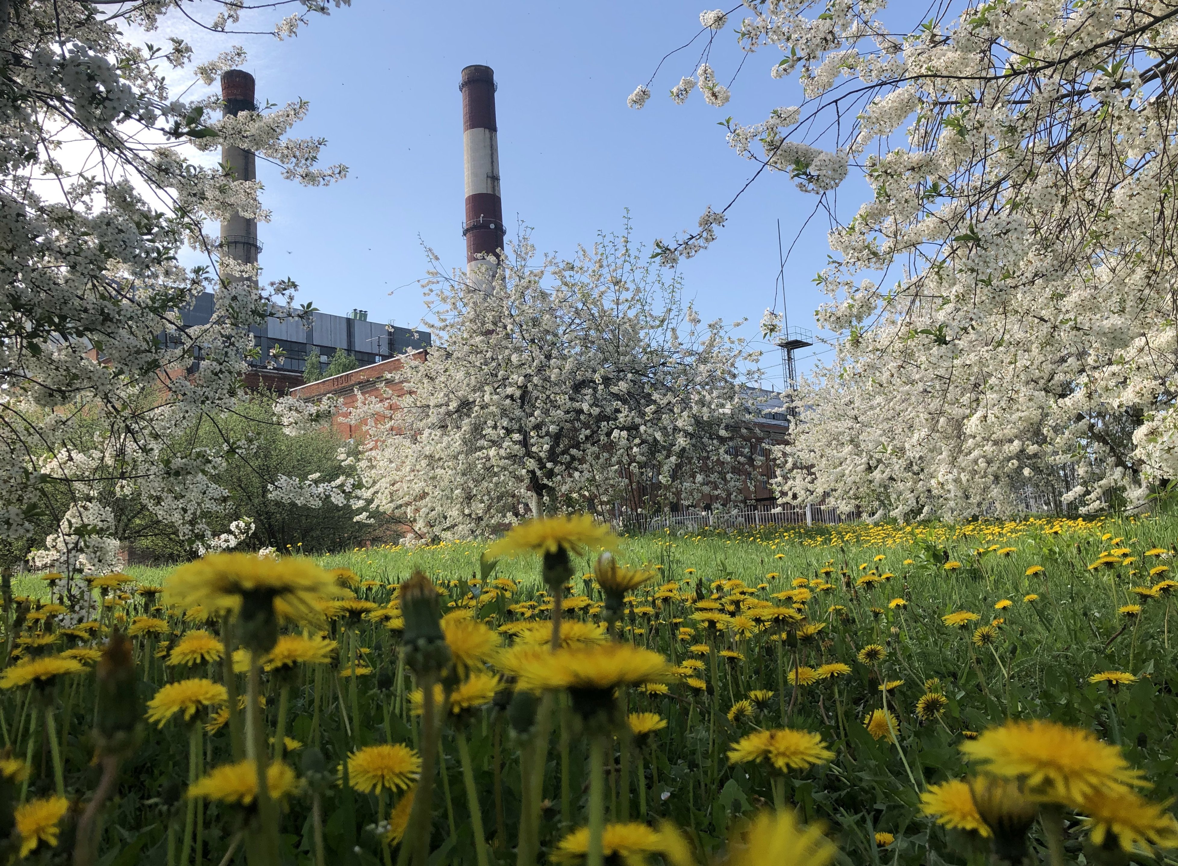 Тамбовский филиал «Квадры» переходит на летний режим работы